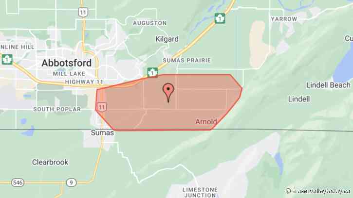 Update: Power restored after bird activity leads to power outage for 600+ customers in Abbotsford