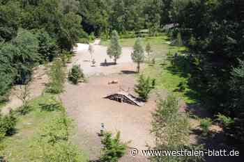 Diskussion um Hundewiese: Lieber ein Hundewald? So könnte er aussehen