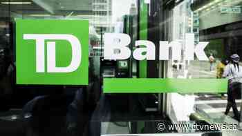TD Bank hit with record US$3 billion fine over drug cartel money laundering
