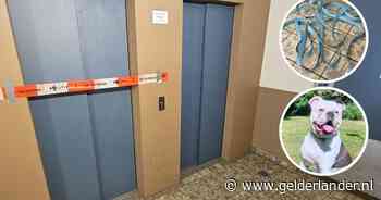 Blits wil nog snel zijn tak neerleggen, maar dan gaan de liftdeuren dicht en stikt hij door zijn riem: 'Krijg het beeld niet meer van mijn netvlies’