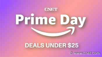 52 October Prime Day Deals Under $25 That Are Still Available