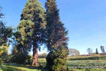 Nieuw reglement toewijzing landbouwgronden moet jonge boeren toekomstperspectieven geven