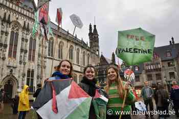 Vredesactivisten vliegeren voor Palestina: “Als symbool van recht op vrijheid”