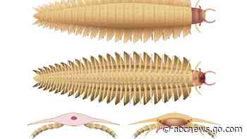 Scientists recreate the head of this ancient 9-foot-long bug