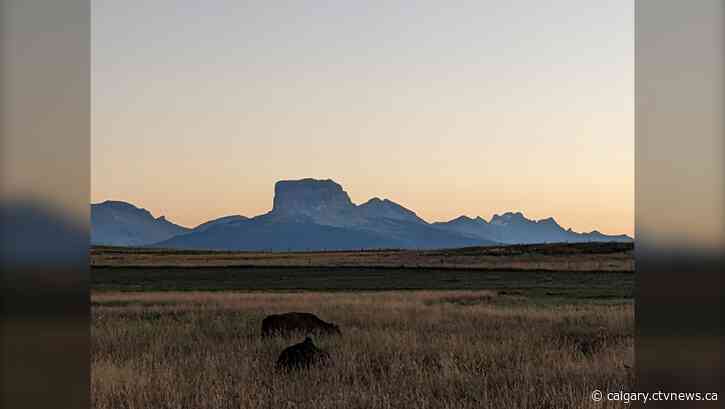 Southern Alberta cattle ranchers team with Nature Conservancy of Canada to conserve Prairie grasslands