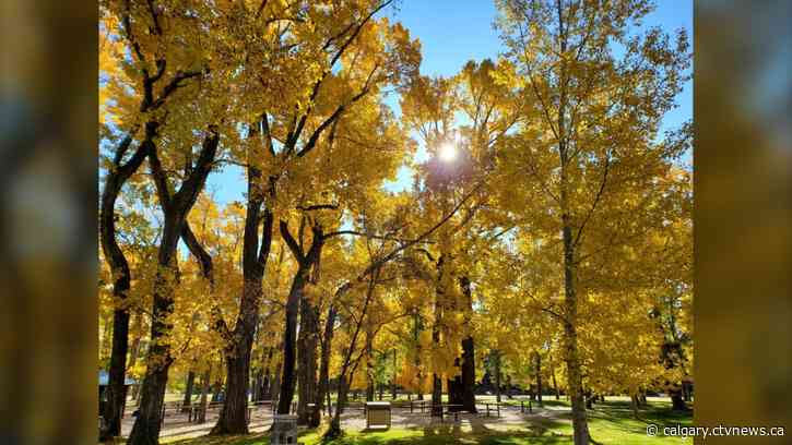Climbing back into above-seasonal temperatures for the long weekend
