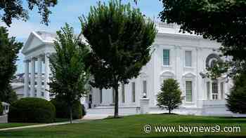 White House official discusses Hurricane Milton response