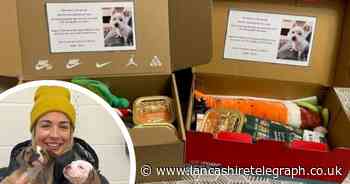 Full list of items needed to help give homeless animals a better Christmas