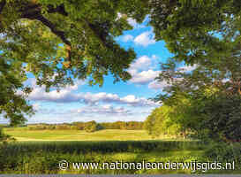 Natuuranalfabetisme: een groeiende uitdaging binnen het onderwijs