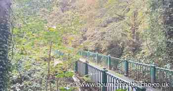 Teenager taken to hospital after falling from footbridge
