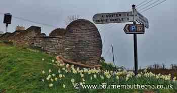 Plan to convert Dorset barn into homes refused