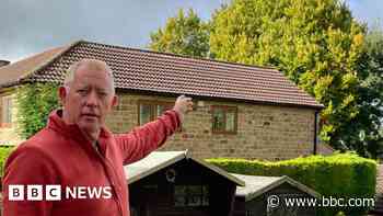 Row over felling of much-loved 'diseased' tree