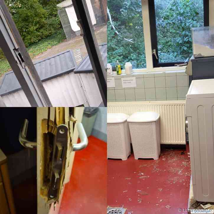Inbraak in dierenasiel Winschoten, doneer nu