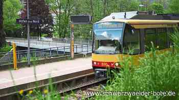 Teilweise Zugausfälle in Bad Wildbad: Enztalbahn fährt am Wochenende nicht