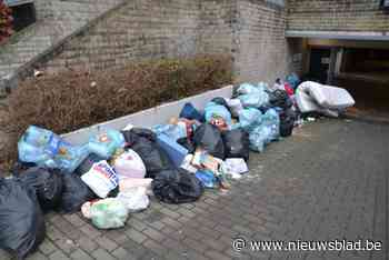 Vorig jaar 122 sluikstorters betrapt in Asse en ook deze week zijn er extra controles