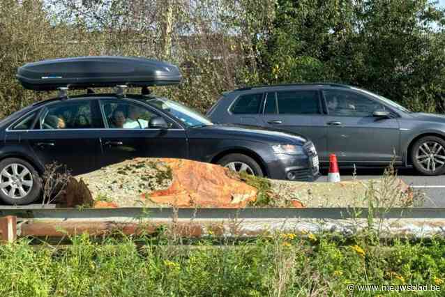 Vrachtwagen verliest boomstam op E34 in Ranst