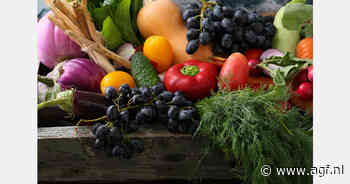 Oost-Europa: onbenut potentieel voor export van Egypte en Marokko