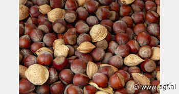 Hazelnootteelt in Turkse regio Giresun