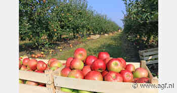 EU-appelen populair in Midden-Oosten