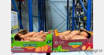 "Marktsituatie Egyptische zoete aardappelen lijkt zich te normaliseren"