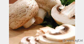 Veenvrije champignons primeur Britse retail