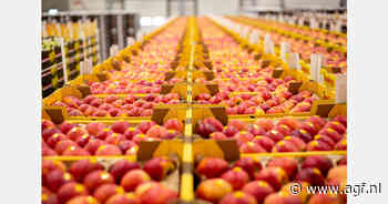 "Evelina-appeloogst een succes"