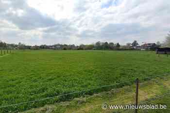 Woonuitbreidingsgebied Hulgenrode-Mellegracht wordt bosgebied