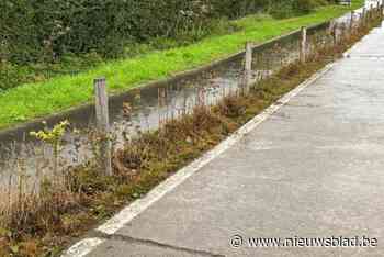 Haag langs fietspad in Oostvleterenstraat doodgespoten: “Dat is schandalig”