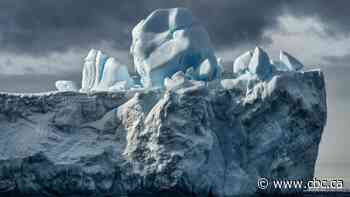 Toronto photographer highlights climate change in Antarctica in new exhibit