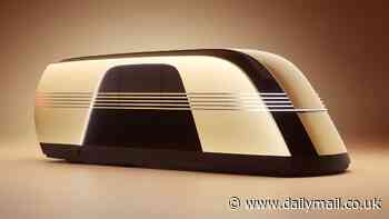 Elon Musk is mocked for his bizarre pronunciation of 'Robovan' - as one Tesla fan claims he 'makes it sound like a herpes medication'