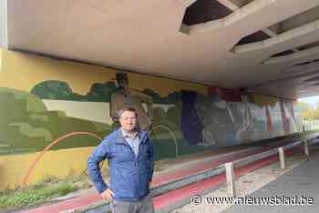 Muurschildering onder brug vormt sluitstuk van het Emile Clausjaar