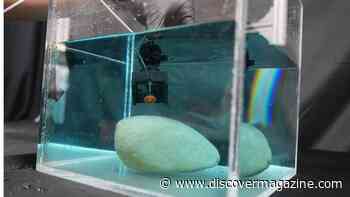 Octopus Suckers Inspire New Grippy Material to Help Grab Objects