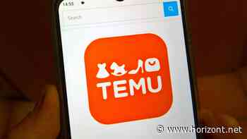 Onlinehandel: Brüssel will mehr Infos von Temu zum Verbraucherschutz