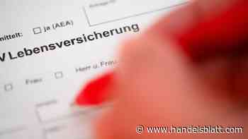 Ifo-Umfrage: Versicherer erwarten bessere Erträge