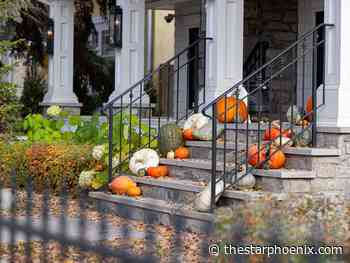 Celebrate Thanksgiving: Five things to do this weekend in Saskatoon, Oct. 11-14