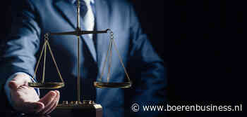 Verfrissende rechterlijke ongehoorzaamheid