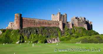New Bamburgh café receives alcohol licence despite stiff opposition from neighbours