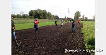 Toekomst Zaaien in de Halsterse Beymoerpolder