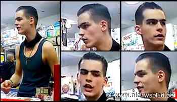 Politie zoekt getuigen voor diefstal met geweld in tuin van Chinees Paviljoen