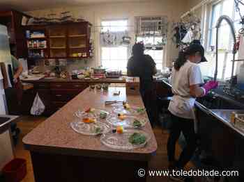 Facade grant helps Maumee businesses, but not everyone is a fan