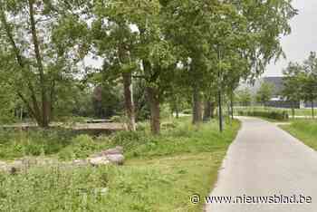 Een tocht door het donker: kunstenaars leiden je met nieuwe nachtwandelingen door Gentse natuurgebieden