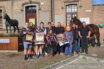 Drie dagen feest in Vollezele met dag van het Brabants Trekpaard als apotheose