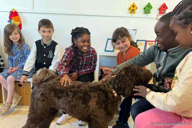 Schoolhond doet lachen, luistert én verovert alle harten: “De kinderen zeggen niet meer ‘dag juf’ maar vragen constant ‘waar is Odet’?”