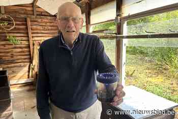 Imker Laurent Ignoul: “Bij twijfel rond Aziatische hoornaar, contacteer ons voor een val”