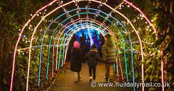 Winter Woodland light display to return with 'Gingerbread Lane' and exciting immersive features