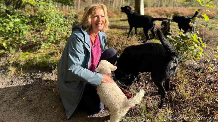 Strengere regels zorgen voor mogelijk einde aan hondenuitlaatservice