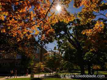 Photo gallery: Best pictures for week ending Oct. 10