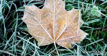 Es wird kalt in Hannover: Wetterdienst warnt vor Frost