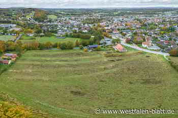 111 Kaufanträge für 40 Grundstücke