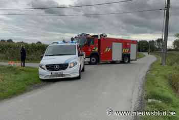 Oldtimers raken beschadigd bij brand in schuur: “Vuur was snel onder controle”